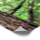 Poster Cheval rouge Dun Mare dans une équine de forêt (Coin)