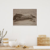 Poster Cheval Sable Sculpture Imprimer (Cuisine)