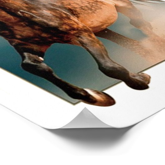 Poster Cheval sauvage (Coin)