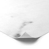 Poster Cheval sauvage, Islande (Coin)