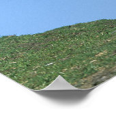 Poster Cheval sauvage Mustang (Coin)