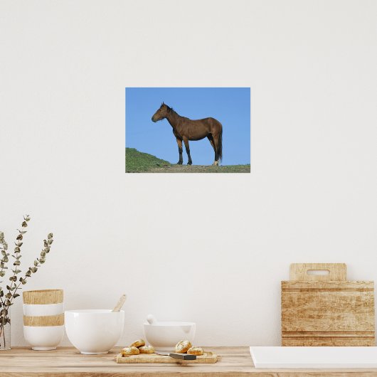 Poster Cheval sauvage Mustang (Cuisine)