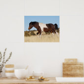 Poster Cheval sauvage, Steens Mountains (Cuisine)