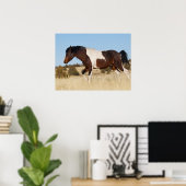 Poster Cheval sauvage, Steens Mountains (Bureau à domicile)