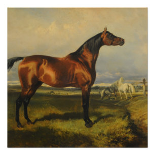 Poster Cheval sauvage Vintage par Alfred de Dreux