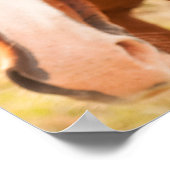 Poster Cheval Se Cache Derrière Le Cheval (Coin)