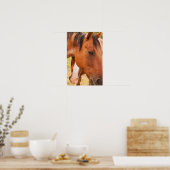 Poster Cheval Se Cache Derrière Le Cheval (Cuisine)