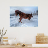 Poster Cheval Sorrel, émerveillé par la neige hivernale (Cuisine)