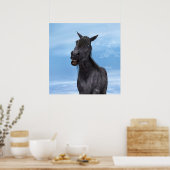 Poster Cheval souriant (Cuisine)