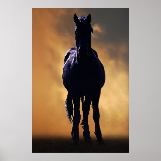 Poster Cheval spirituel (Devant)