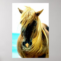 Cheval sur la plage