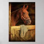 Poster Cheval Thoroughbred (Devant)