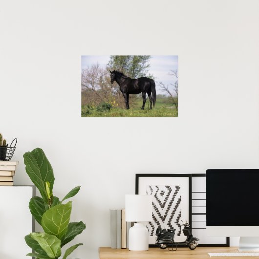 Poster Cheval Thoroughbred debout (Bureau à domicile)