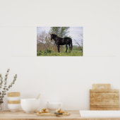 Poster Cheval Thoroughbred debout (Cuisine)