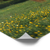 Poster Cheval Thoroughbred en Fleurs (Coin)