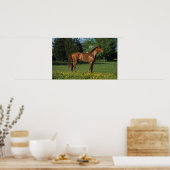 Poster Cheval Thoroughbred en Fleurs (Cuisine)