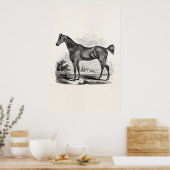 Poster Cheval Thoroughbred vintage équestre personnalisé (Cuisine)