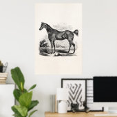 Poster Cheval Thoroughbred vintage équestre personnalisé (Bureau à domicile)
