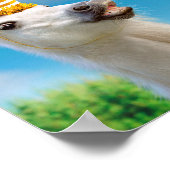 Poster Cheval Unicorn Et Arc En Ciel (Coin)