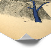 Poster Cheval Veines Nerves Anatomie 1908 Vintage Imprime (Coin)