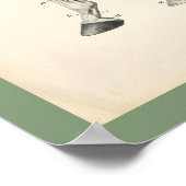 Poster Cheval Vétérinaire Os De Jambe Anatomie Musculaire (Coin)