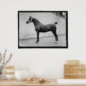 Poster Cheval vintage (Cuisine)