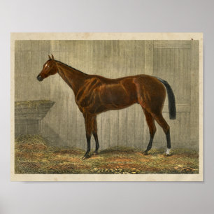 Poster Cheval vintage Imprimer 1873 Coupe Bleue