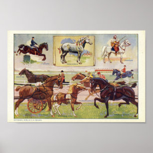 Poster Cheval vintage Imprimer Diverses races 1912
