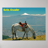 Poster Cheval & volcan, Quito, Equateur (Devant)