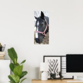 Poster Cheval Whisperer (Bureau à domicile)