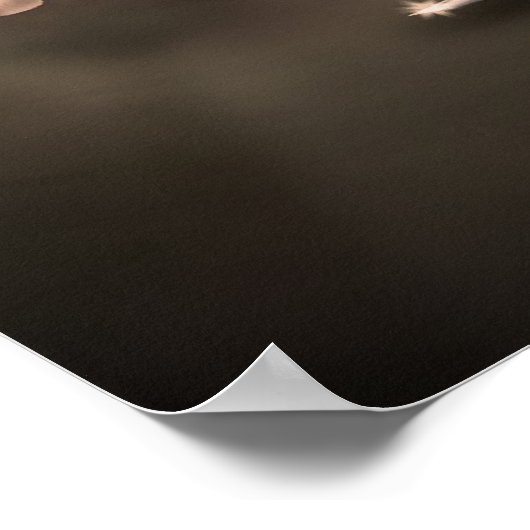 Poster Chevalier arabe (Coin)