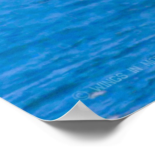 POSTER CHEVALIER DE MER CH-46E (Coin)