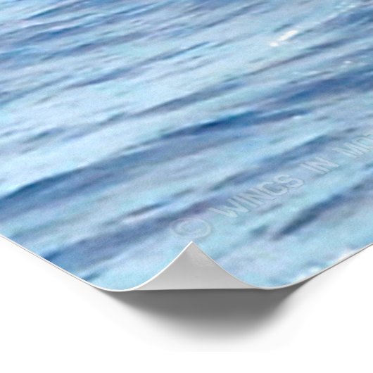 POSTER CHEVALIER DE MER CH-46E (Coin)