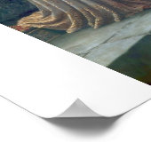 Poster chevalier femme château d'épée (Coin)