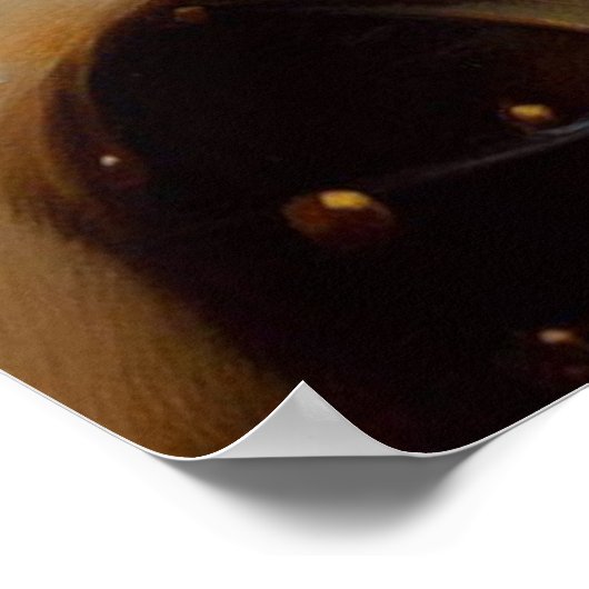 Poster Chevalier médiéval (Coin)