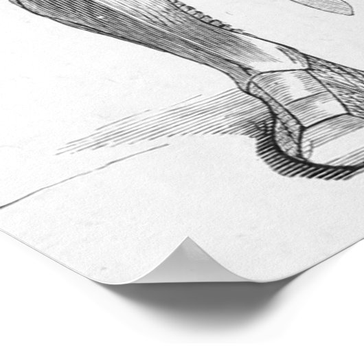 Poster Chevalier médiéval (Coin)