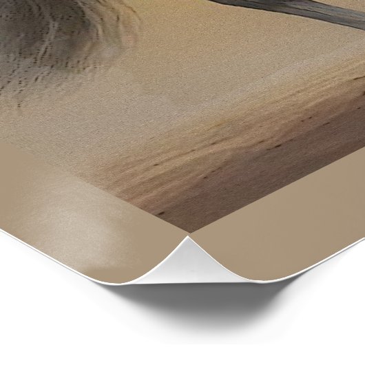 Poster Chevalier médiéval et cheval (Coin)