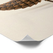 Poster Chevalier Pangolin (Coin)