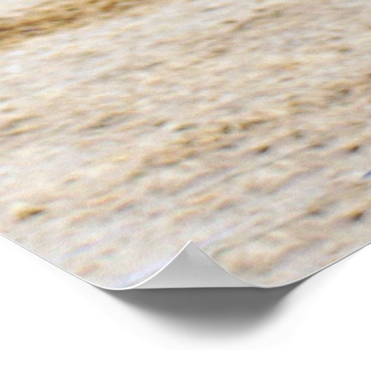 POSTER CHEVAUX (Coin)