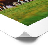 Poster chevaux (Coin)