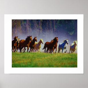 Poster chevaux