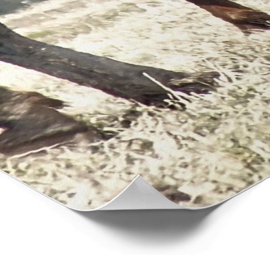 POSTER CHEVAUX (Coin)