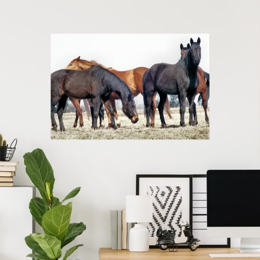POSTER CHEVAUX (Bureau à domicile)