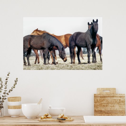 POSTER CHEVAUX (Cuisine)