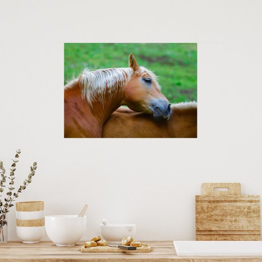 Poster Chevaux (Cuisine)