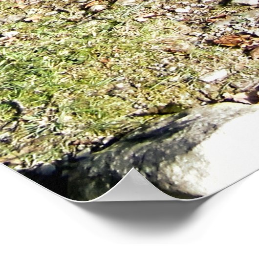 POSTER CHEVAUX (Coin)