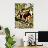 POSTER CHEVAUX (Bureau à domicile)
