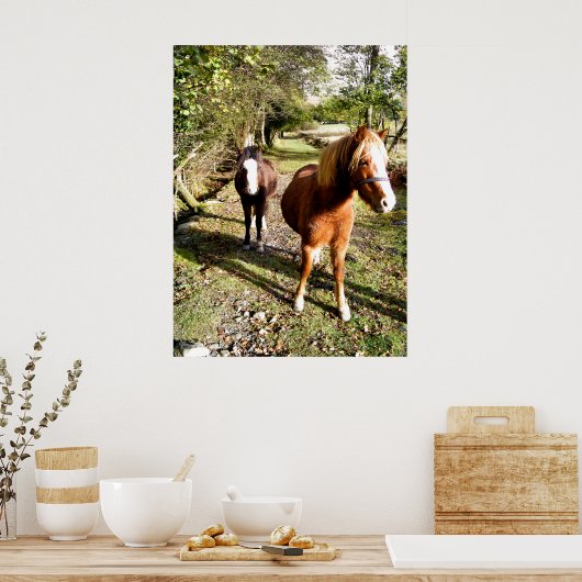POSTER CHEVAUX (Cuisine)