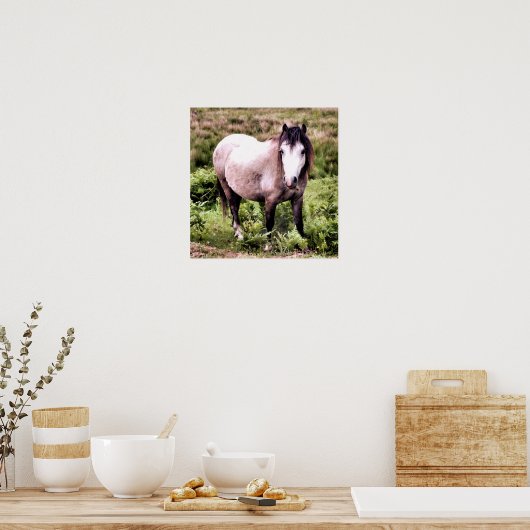 POSTER CHEVAUX (Cuisine)