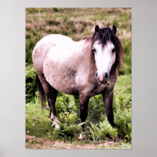 POSTER CHEVAUX